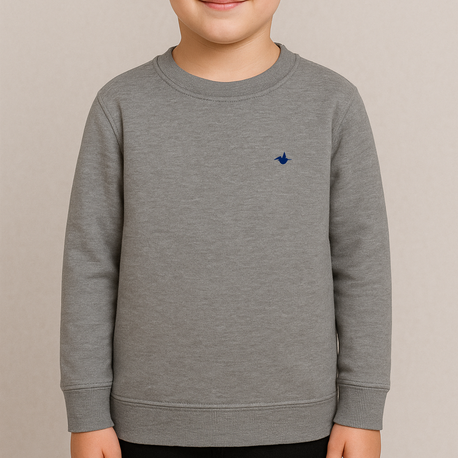 Sweat gris brodé sequins velours - STAR WARS™ garçon Sweat gris brodé sequins velours - STAR WARS™ garçon